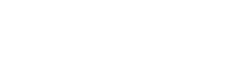 People Prime Worldwide Logo